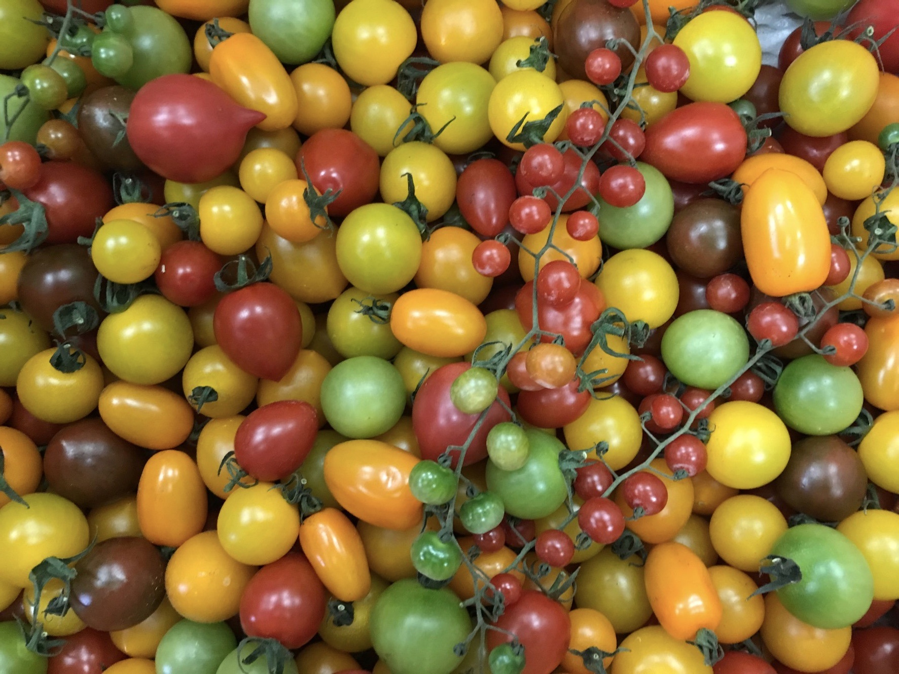 柿市商店を初めて ご利用されるお客様へ